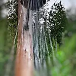 Feriehus La Casetta Nel Bosco *