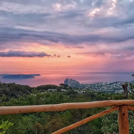 Ferienhaus La Casetta Nel Bosco Barano dʼIschia