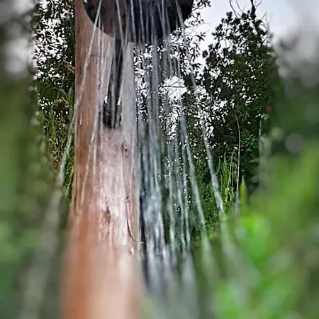 Ferienhaus La Casetta Nel Bosco *